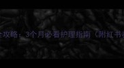 美短幼猫换胎毛全攻略3个月必看护理指南附红书养猫人亲测有效
