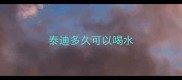 泰迪多久可以喝水