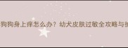 两个月大狗狗身上痒怎么办幼犬皮肤过敏全攻略与护理指南