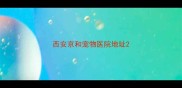 西安京和宠物医院地址