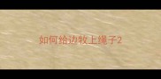 如何给边牧上绳子