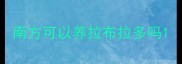 南方可以养拉布拉多吗