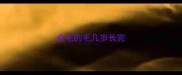 金毛的毛几岁长完