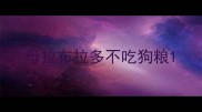 母拉布拉多不吃狗粮