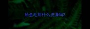 给金毛用什么洗澡吗