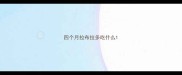 四个月拉布拉多吃什么