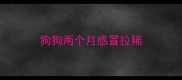 狗狗两个月感冒拉稀