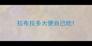 拉布拉多大便自己吃