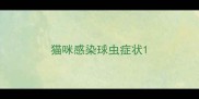 猫咪感染球虫症状