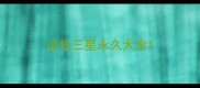 边牧三星永久犬舍