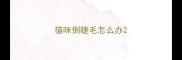 猫咪倒睫毛怎么办