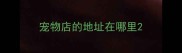 宠物店的地址在哪里