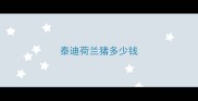 泰迪荷兰猪多少钱