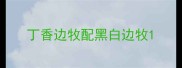 丁香边牧配黑白边牧