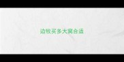 边牧买多大窝合适