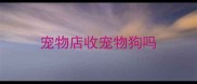 宠物店收宠物狗吗