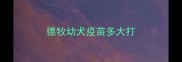 德牧幼犬疫苗多大打