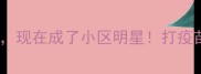 被疫苗救回来的流浪狗现在成了小区明星打疫苗后流浪犬管理全攻略