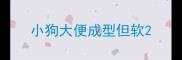 小狗大便成型但软