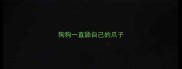 狗狗一直舔自己的爪子