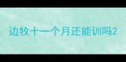 边牧十一个月还能训吗