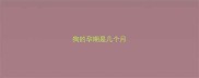 狗的孕期是几个月