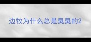 边牧为什么总是臭臭的