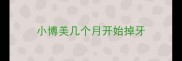 小博美几个月开始掉牙