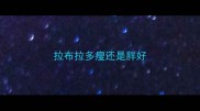 拉布拉多瘦还是胖好