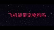 飞机能带宠物狗吗