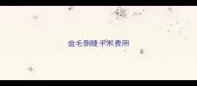 金毛倒睫手术费用