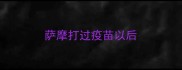 萨摩打过疫苗以后