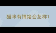 猫咪有情绪会怎样