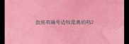 血统有编号边牧是真的吗