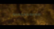 母拉布拉多发情的表现