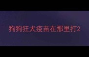 狗狗狂犬疫苗在那里打