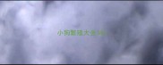 小狗繁殖大全34