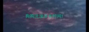 狗狗洗澡多长时间