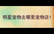 明星宠物去哪里宠物店