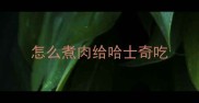 怎么煮肉给哈士奇吃