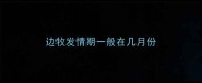 边牧发情期一般在几月份
