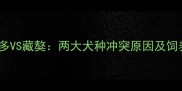 拉布拉多VS藏獒两大犬种冲突原因及饲养指南