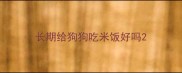 长期给狗狗吃米饭好吗