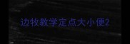 边牧教学定点大小便