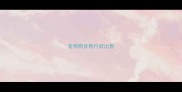 宠物狗货到付款出售