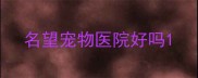 名望宠物医院好吗