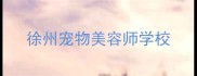 徐州宠物美容师学校