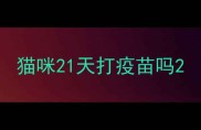 猫咪21天打疫苗吗