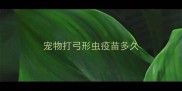 宠物打弓形虫疫苗多久