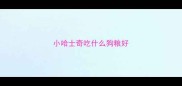 小哈士奇吃什么狗粮好